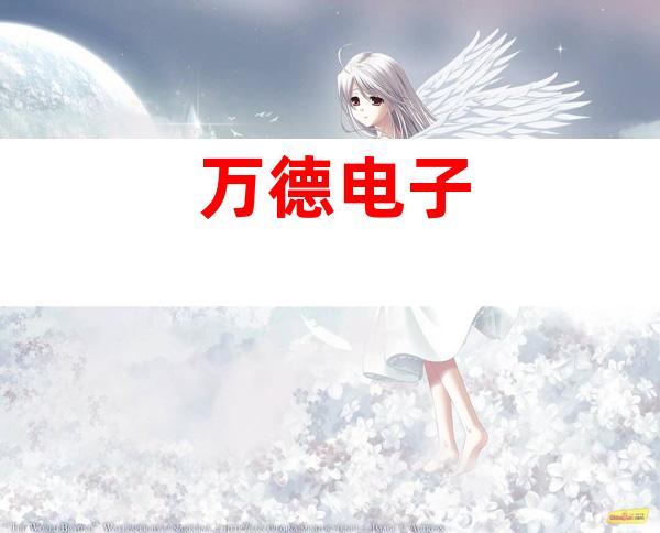 万德电子