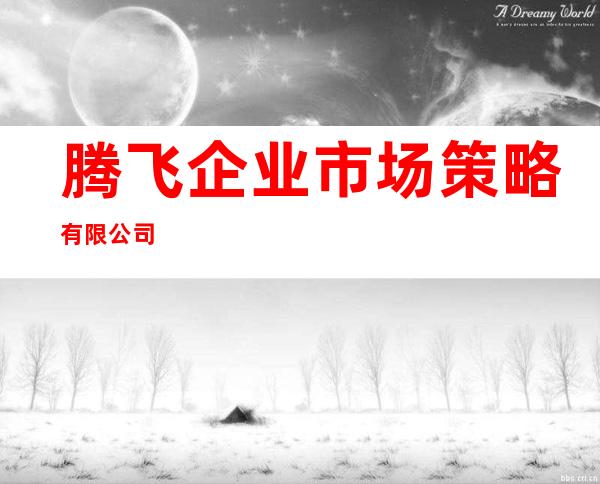 腾飞企业市场策略有限公司